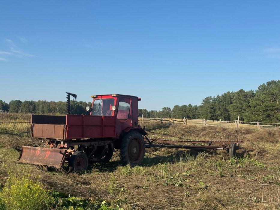 Продам трактор т16м