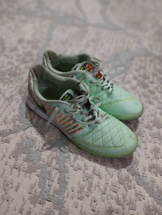 Сороконожки лунар гато