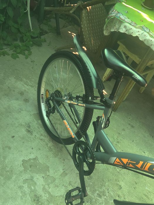 Bicicletă Rich R2430A
