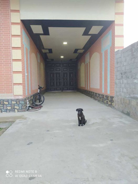 O'rta chirchiq tumani. 5 sotix 4 xonali uy. 85 000 $ Kelishiladi