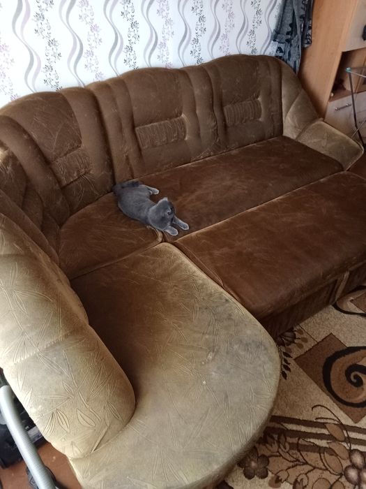 Срочно диван 15.000