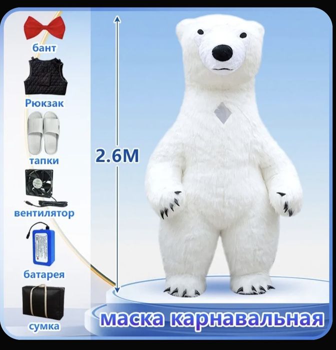 Tuy va marosimlarga Ayyiqchalar