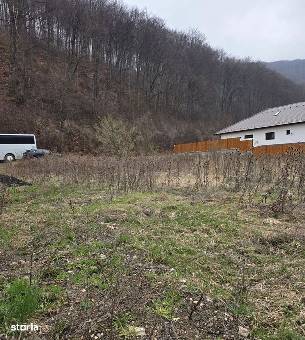 Teren intravilan intre case în Bunloc, lângă pădure – 604 mp