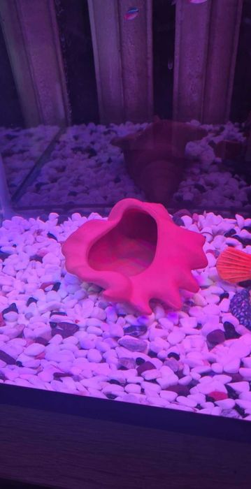 Аквариум RS-500EL - черен + 5 ПОДАРЪКА