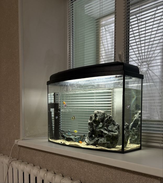 Аквариум на 100 литров