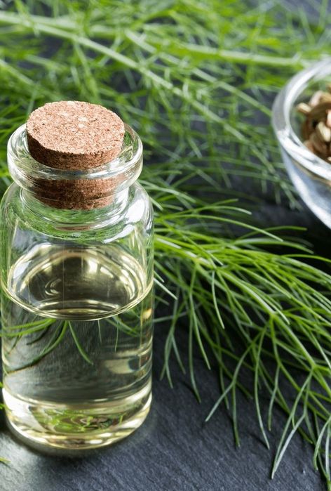 Пихтовое масло 100мл