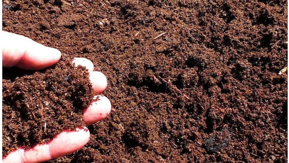 Продам Черназем мешками