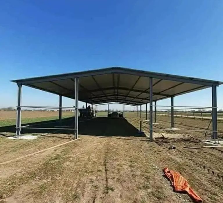 Vand hala pe structura metalica destinata pentru servicie auto,stație