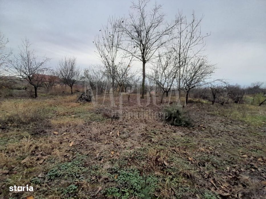 Teren intravilan pentru constructii de vanzare in Paleu, Oradea