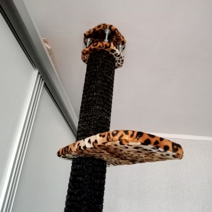 Когтеточка от пола до потолка