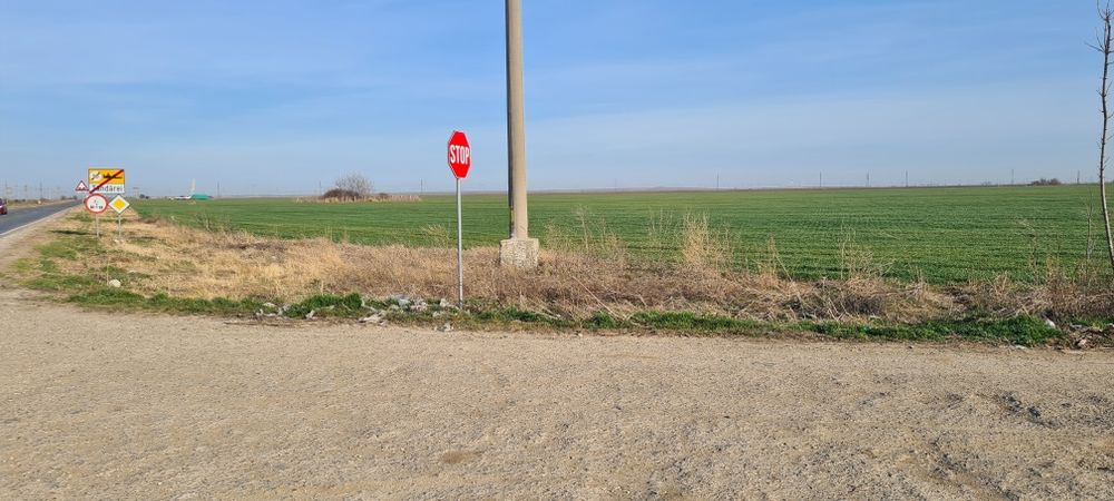 Teren intravilan 8000 mp