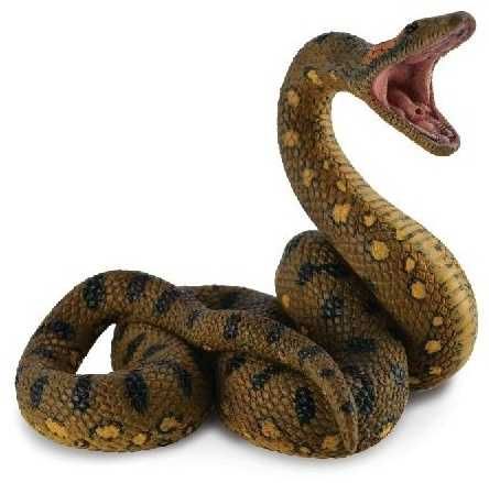 Дезинфекция против змей