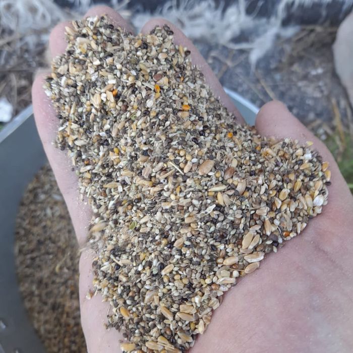 Ячмень! Платный чат! Все корма.