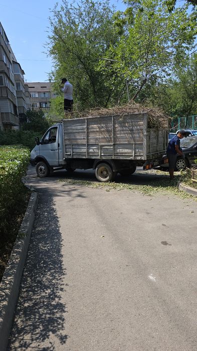 Вывоз мусора Алматы