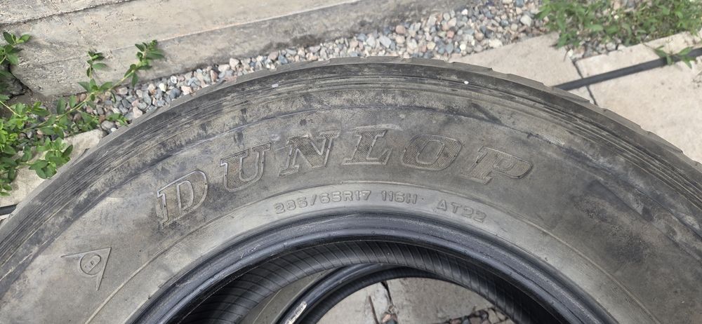 Шины летние dunlop