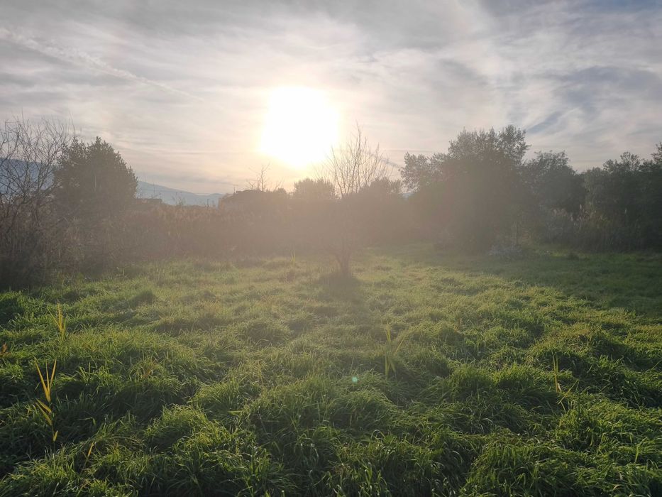 Продава се бизнес парцел 907 м2 близо до морето в Неа Врасна, Гърция