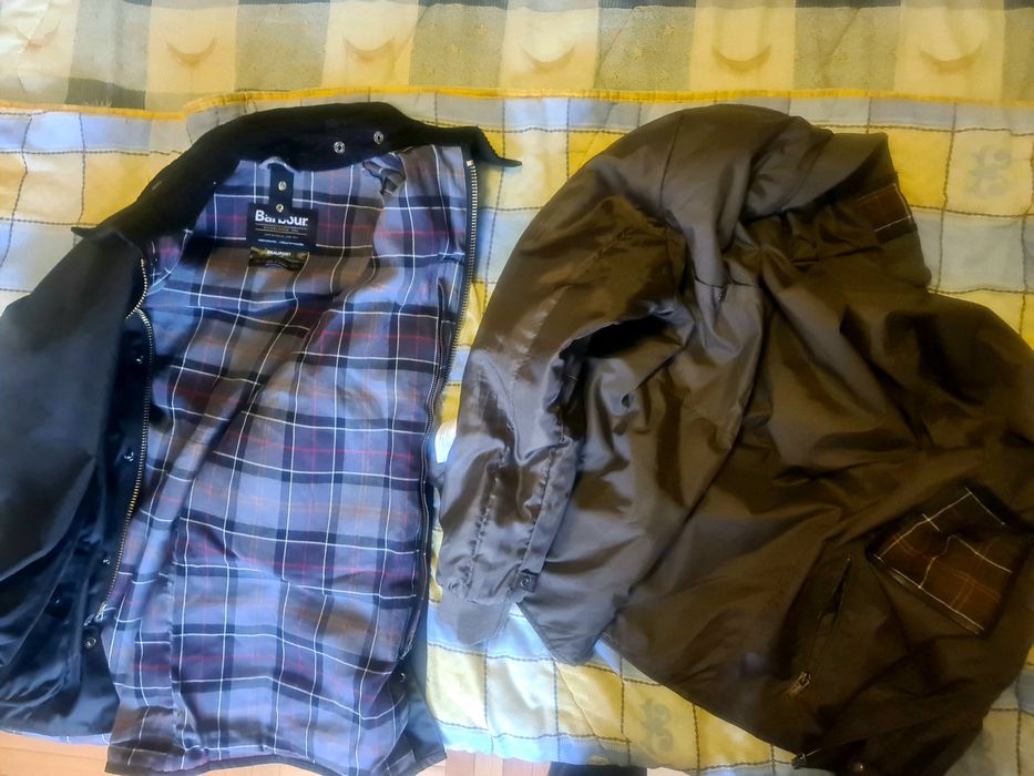 Semipalton Barbour