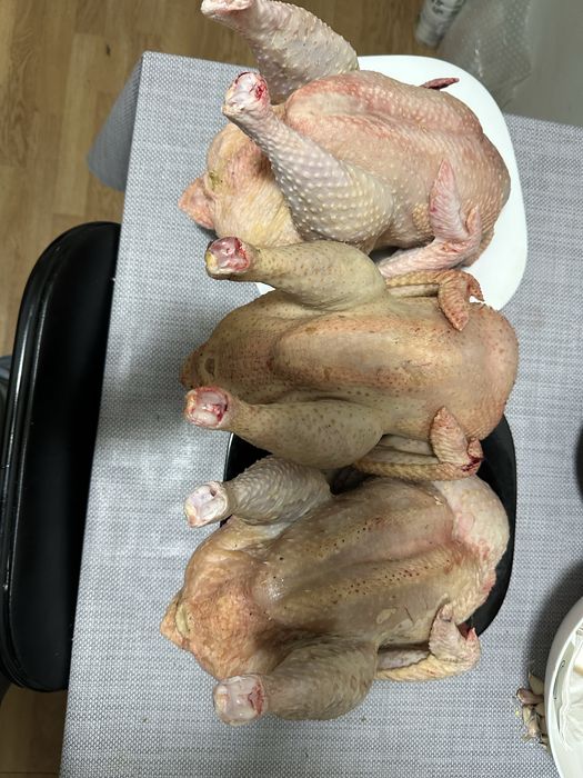 Vand oua de consum si incubat