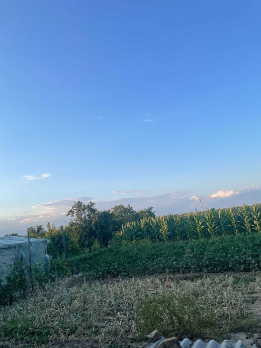 Casa de vanzare in Posta/Topliceni, judetul Buzau-4 camere, mobilata si utilata