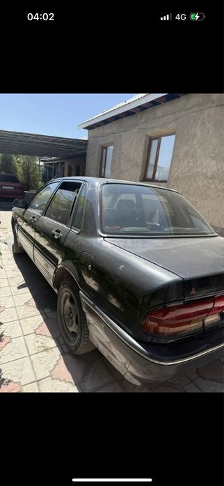 Мютцибици галант