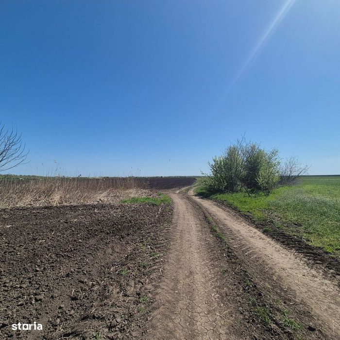 GRADISTEA - Sat Sitaru, teren agricol 11.961mp, ideal investitie