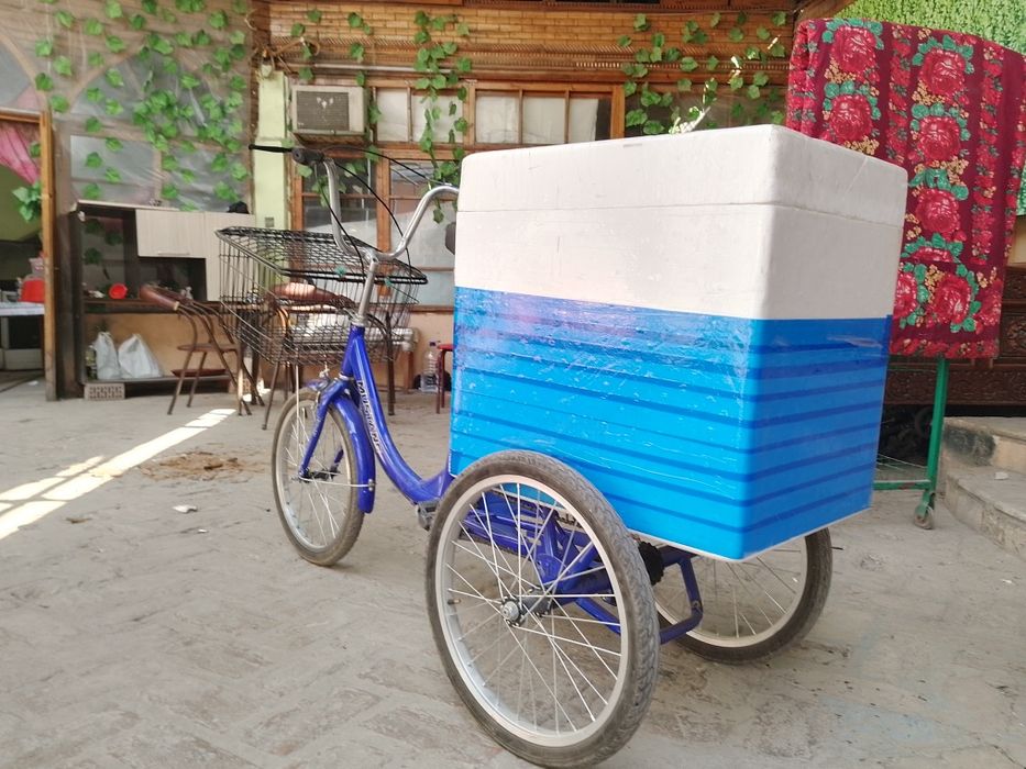 Velosiped gruzovoy / yuk tashish uchun, 20 razmer, 3 g'ildirakli