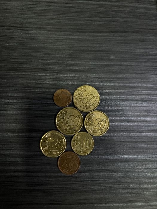 Moneta tanga evrosent