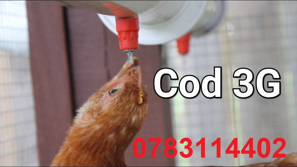 Adapatori Niplu gaini pui rate gaste prepelite pasari-3 lei buc - 3G