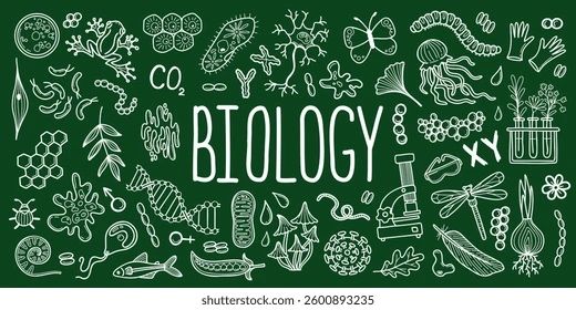 Репетитор по биологии