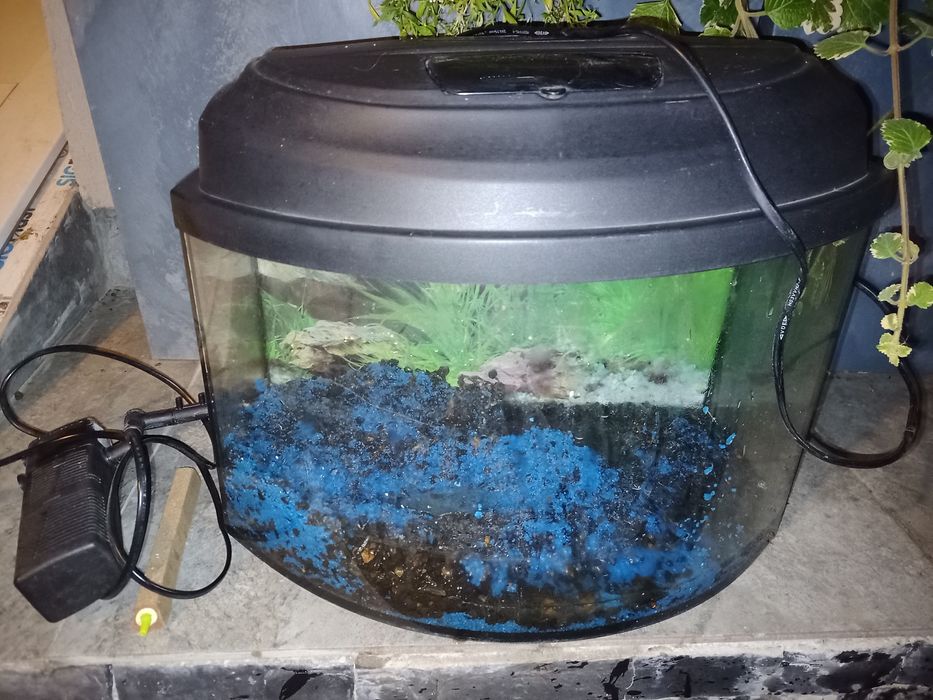 Acvariu din sticla Negru Curb 6W 40x25x25cm