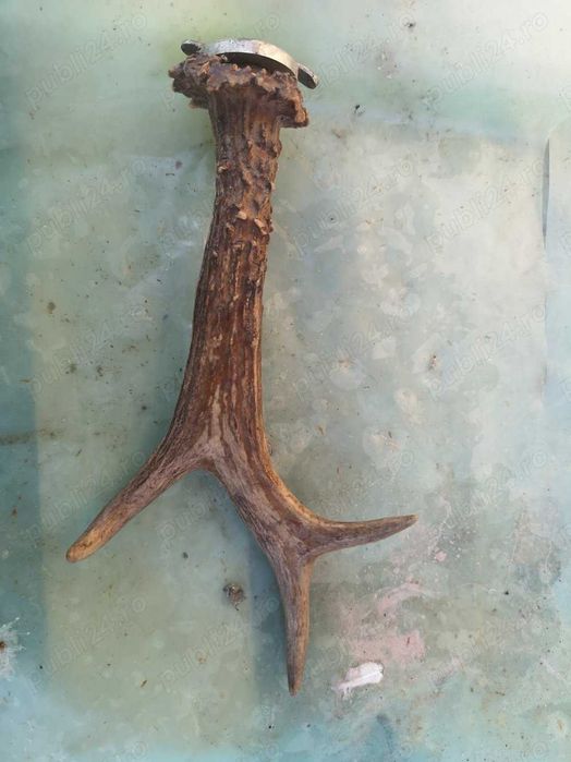 Bibelou de pus in perete