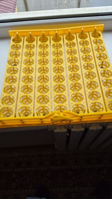 Ячейка для инкубации яиц.