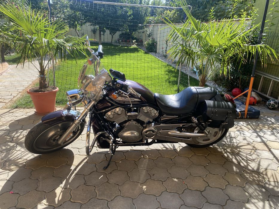 Harley Davidson V ROD, an 2005, km 51900, evacuare Rinehart
