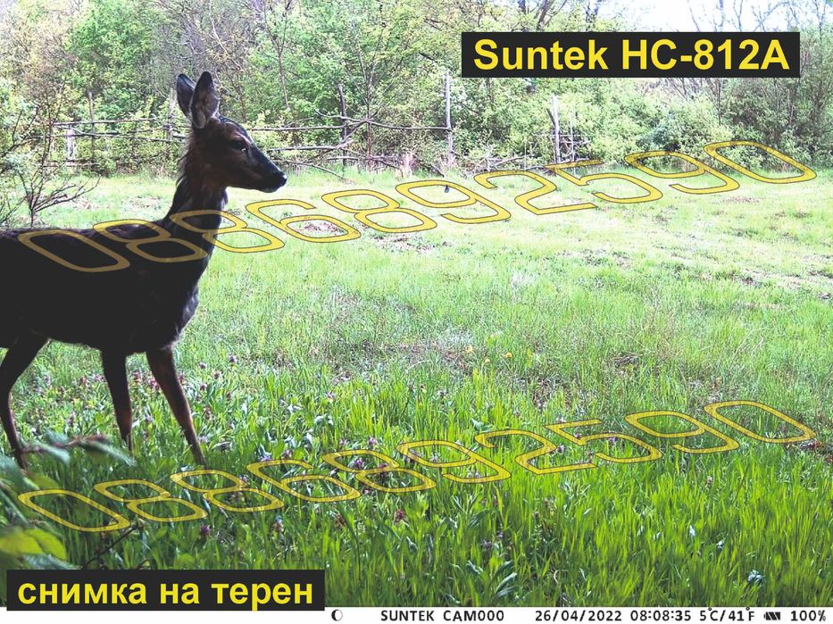 Ловна камера Suntek 812А/900А ULTRA ,Фотокапан, дисплей, нощно виждане