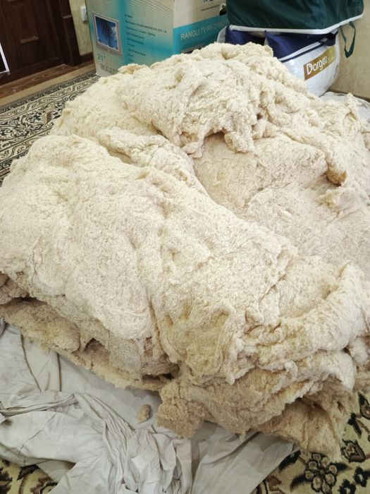 Пахта сотилади! Арзон нархда!