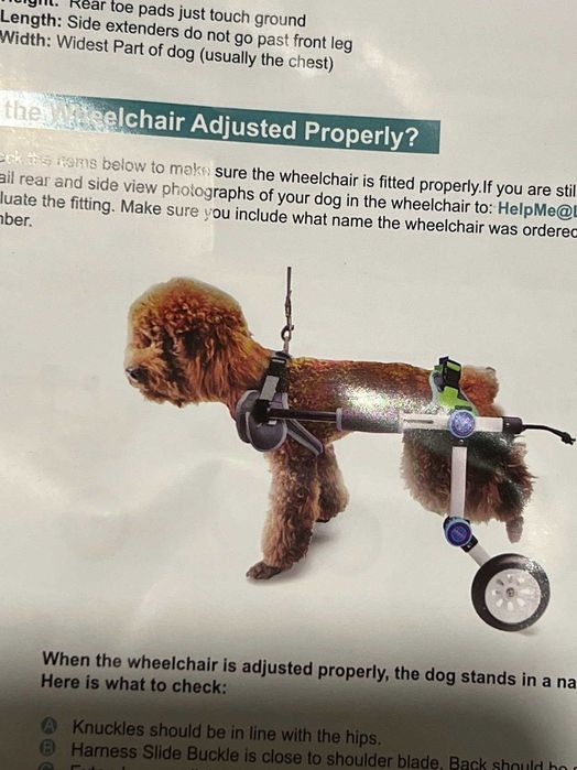 Инвалидная коляска для миниатюрных собак