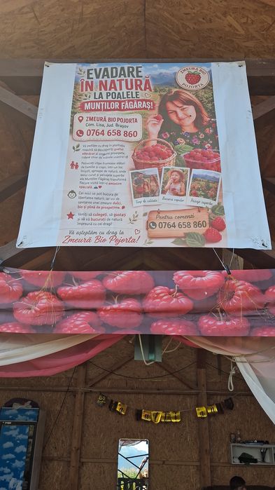 Zmeură Bio Pojorta