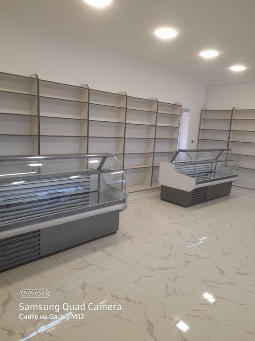 Xaladilnik vitrinniy