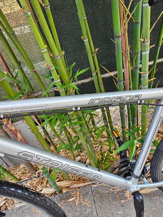 Staiger Indian 52см