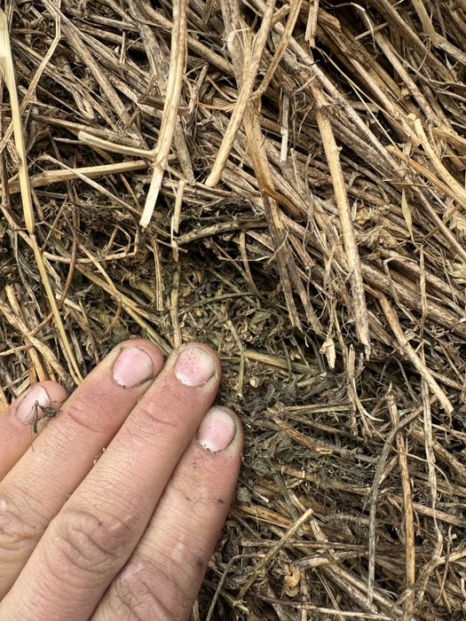 Baloti luverna coasa 3 plouat