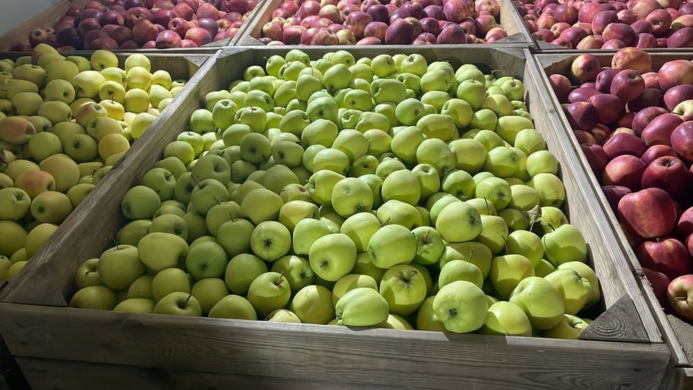 Vand mere Golden , Gala , Prince , Jeromir , Renet