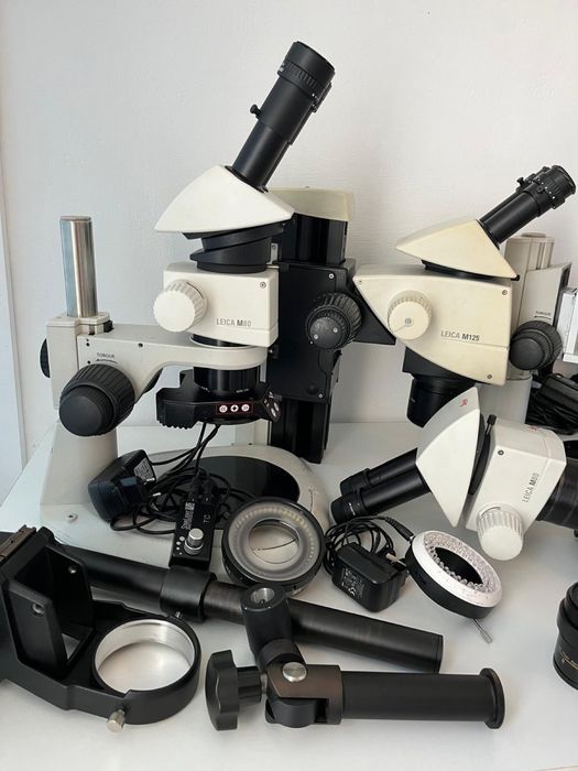 Microscop leica Mz6, M80, M125, sistem iluminare