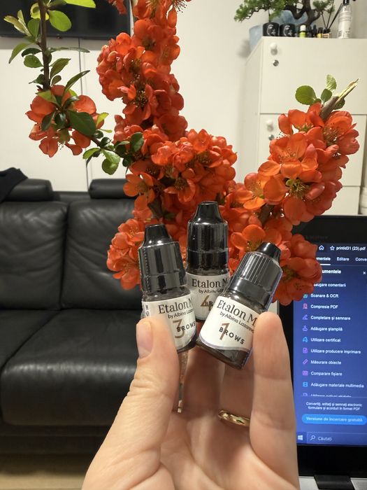 Micropigmentare sprâncene & buze