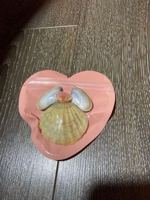 Scoica ingeras handmade