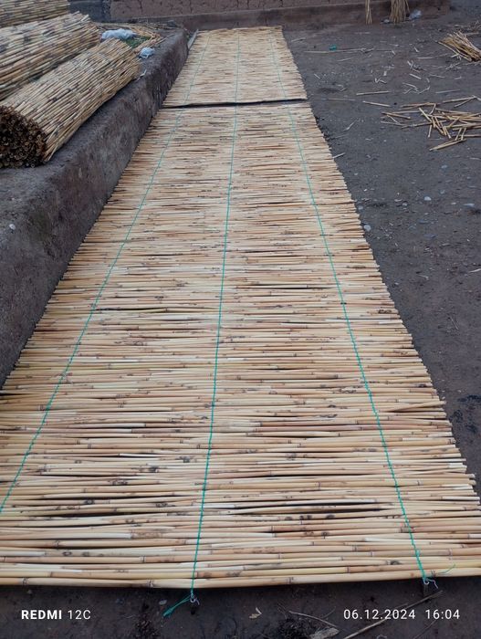 Камыс ши веточка