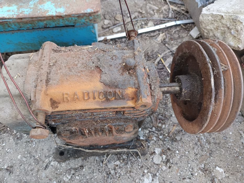 Reductor RADICON funcțional