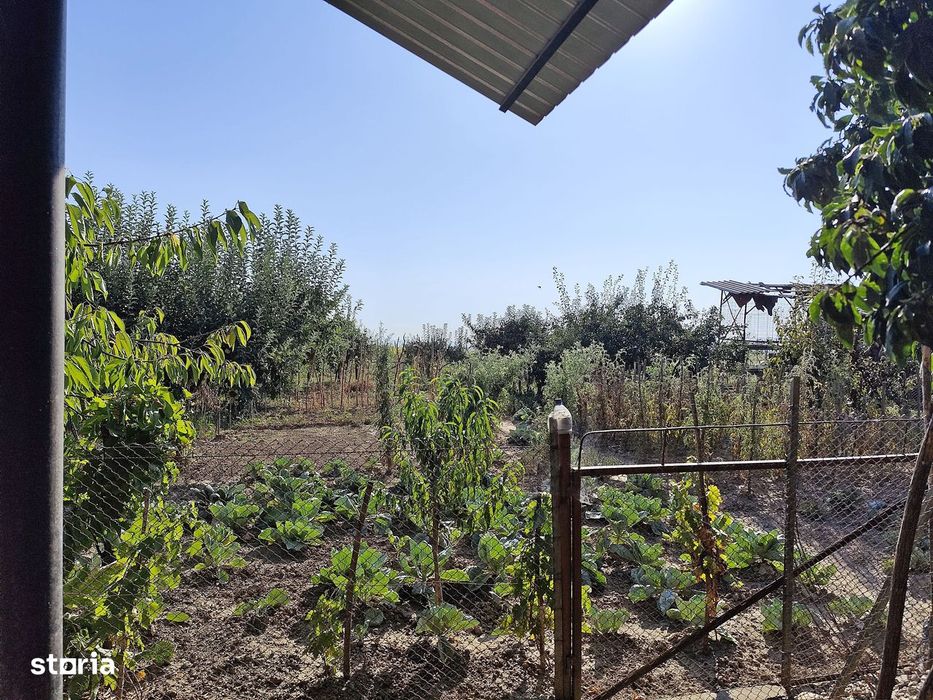Casa la tara in Sacadat, Bihor, teren 2826 mp, acces auto - Vanzare
