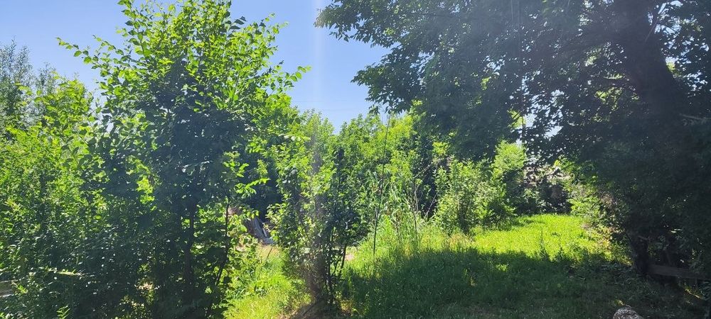 Земельный участок с домом в доль канала