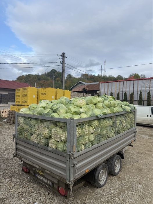 Vand remorca basculabila Humbaur 3t