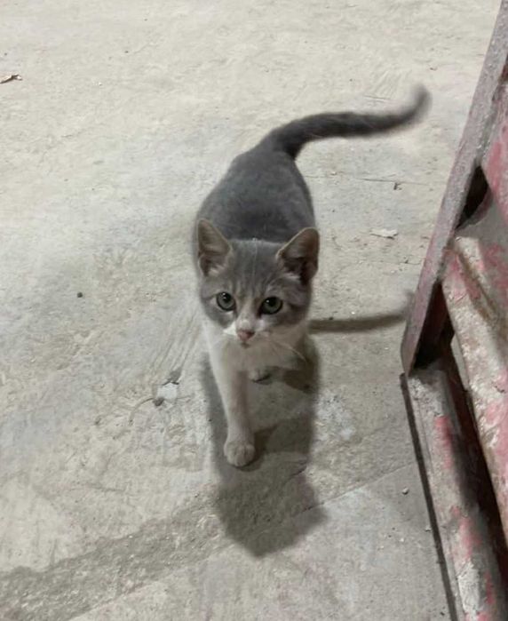 3/4-месечно момиченце от Враца търси дом!